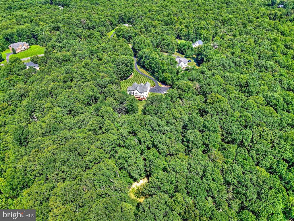 13650 INDEPENDENCE RIDGE PLACE