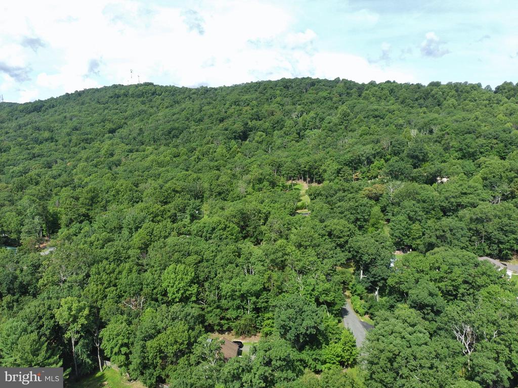 15797 HICKORY LANE