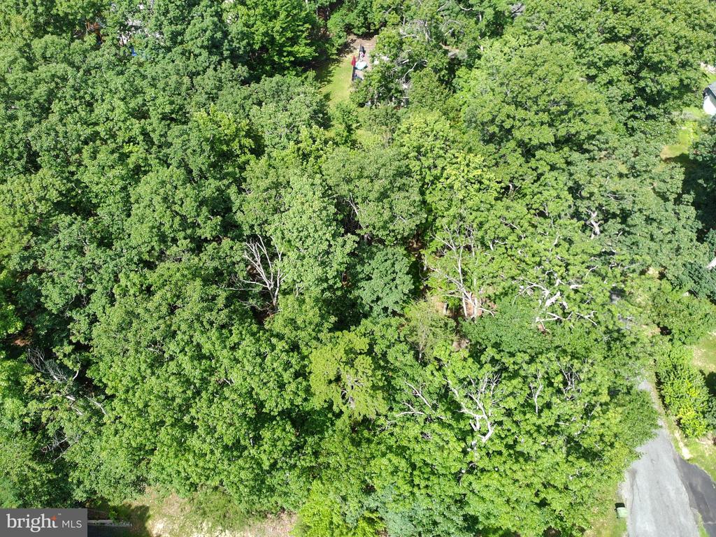 15797 HICKORY LANE