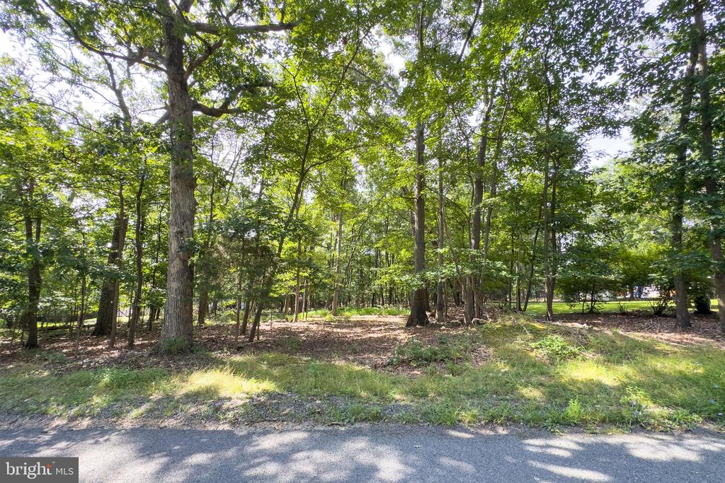 15797 HICKORY LANE