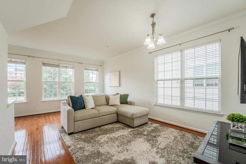 15409 ROSEMONT MANOR DRIVE