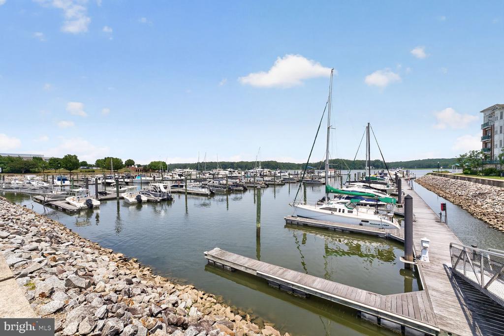 810 BELMONT BAY DRIVE Unit: 204