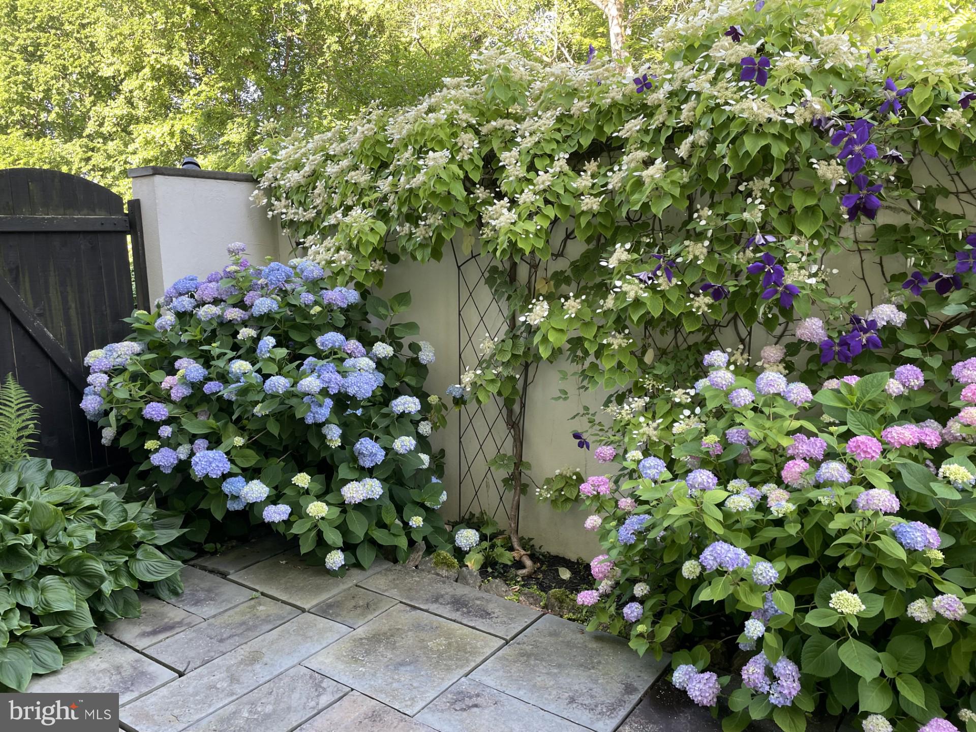 16 WHIPPOORWILL LANE