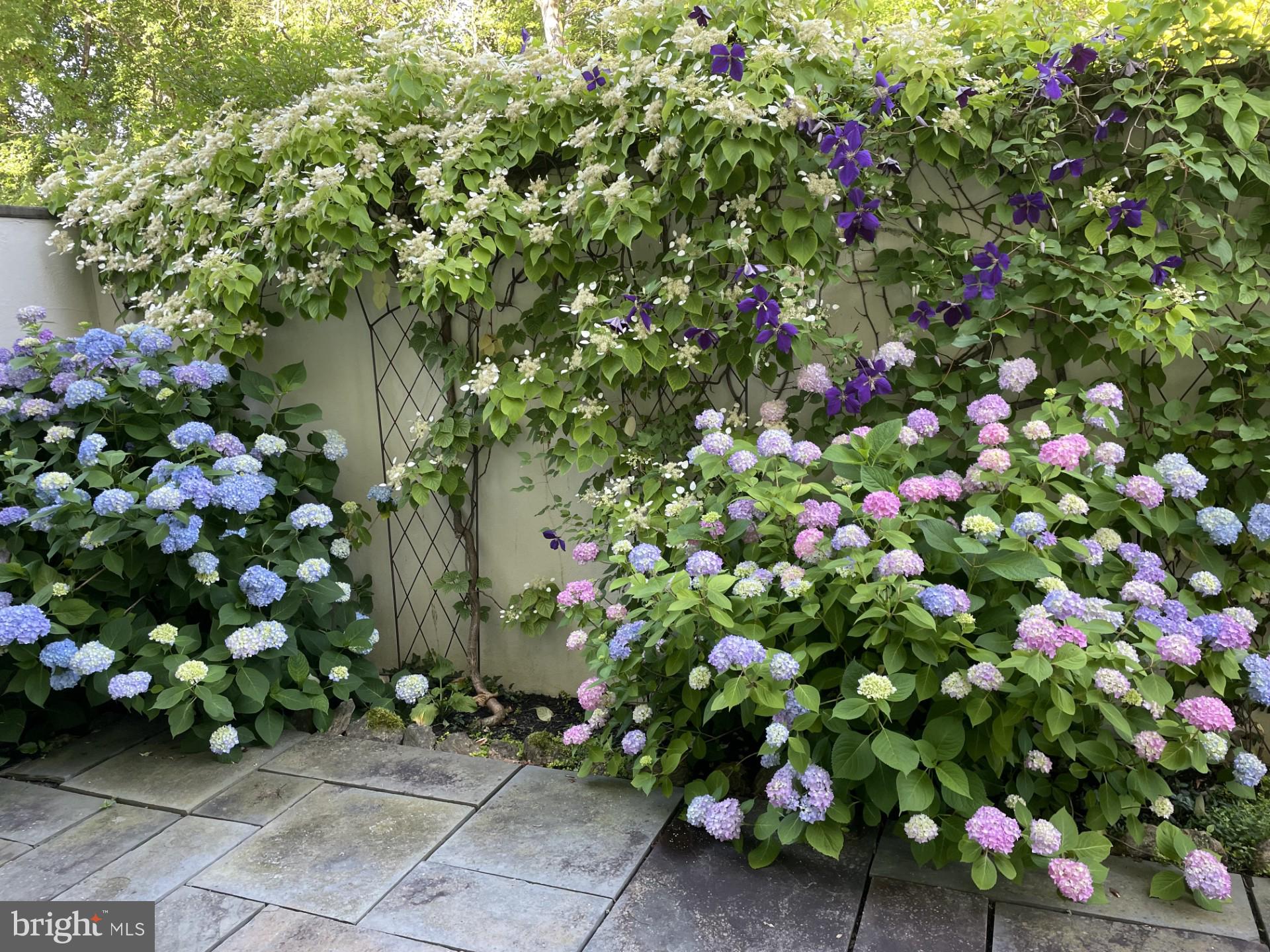 16 WHIPPOORWILL LANE