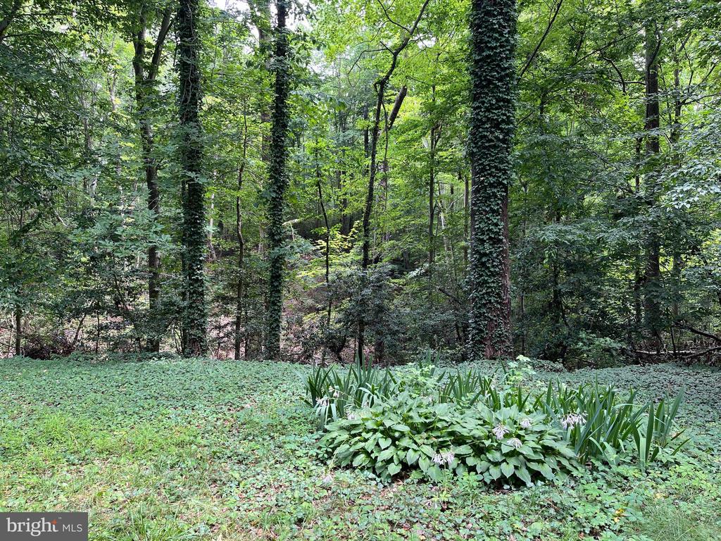 431 Carter Town Rd.