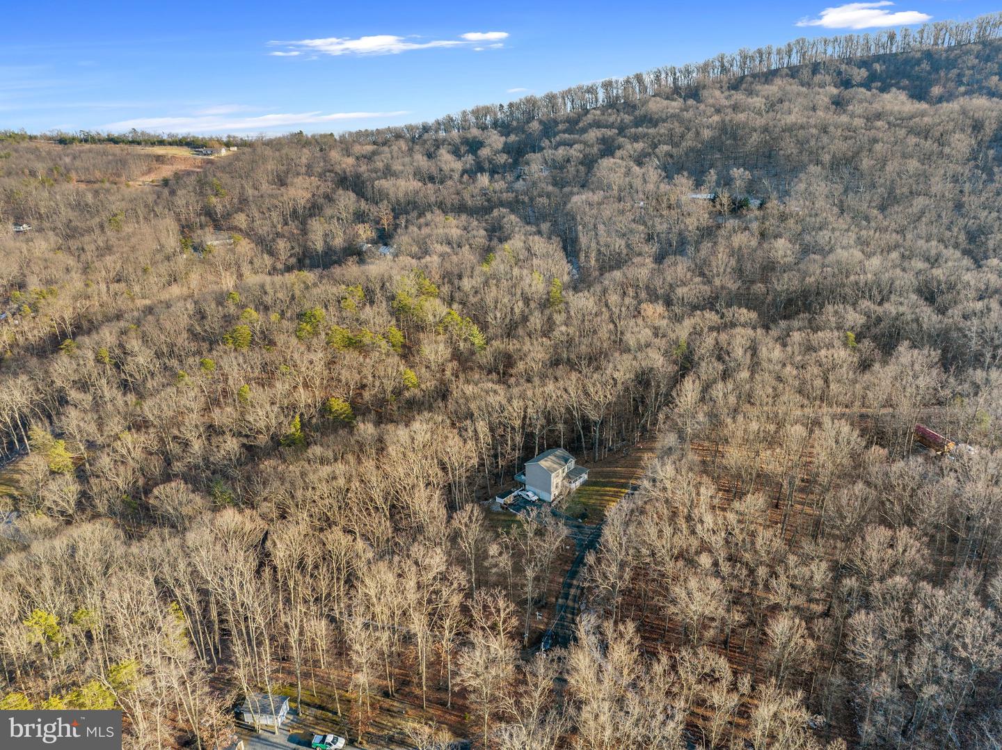 21 Heavens Tree TRAIL