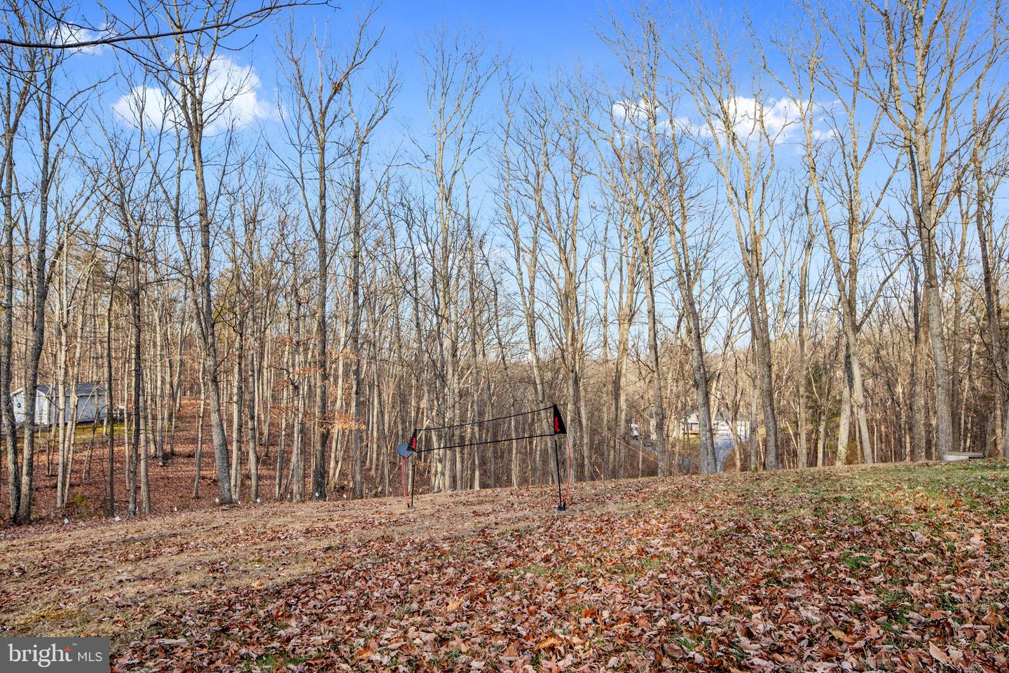 21 Heavens Tree TRAIL