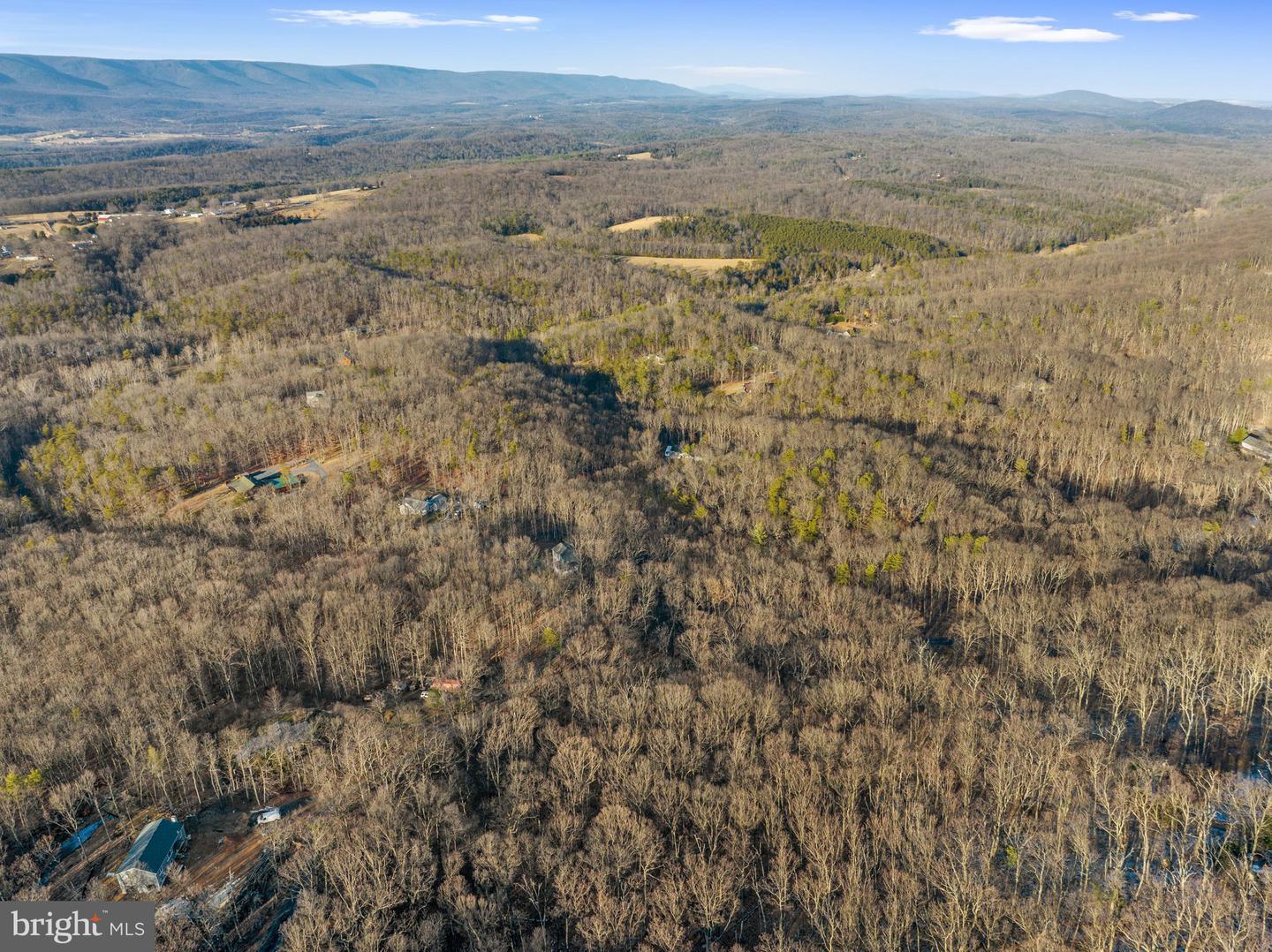 21 Heavens Tree TRAIL