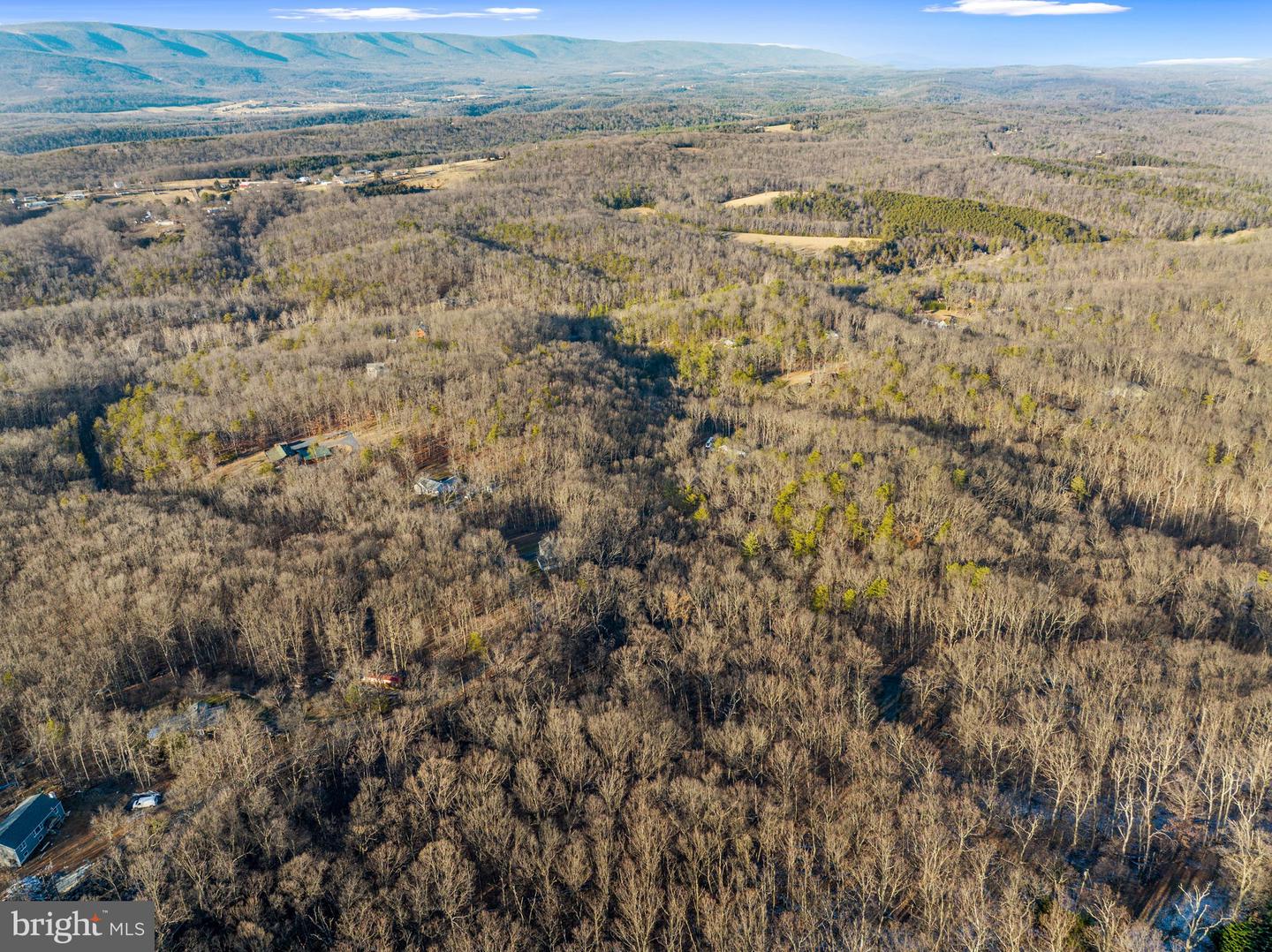 21 Heavens Tree TRAIL
