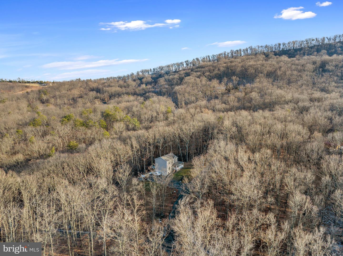 21 Heavens Tree TRAIL