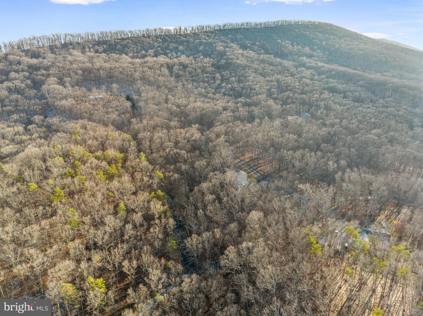 21 Heavens Tree TRAIL