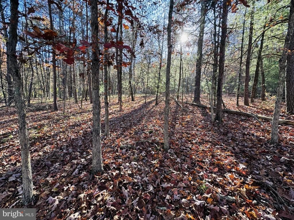 Beaver Rd