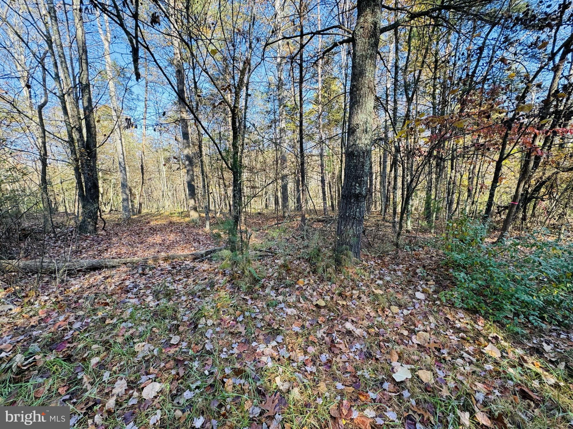 Beaver Rd