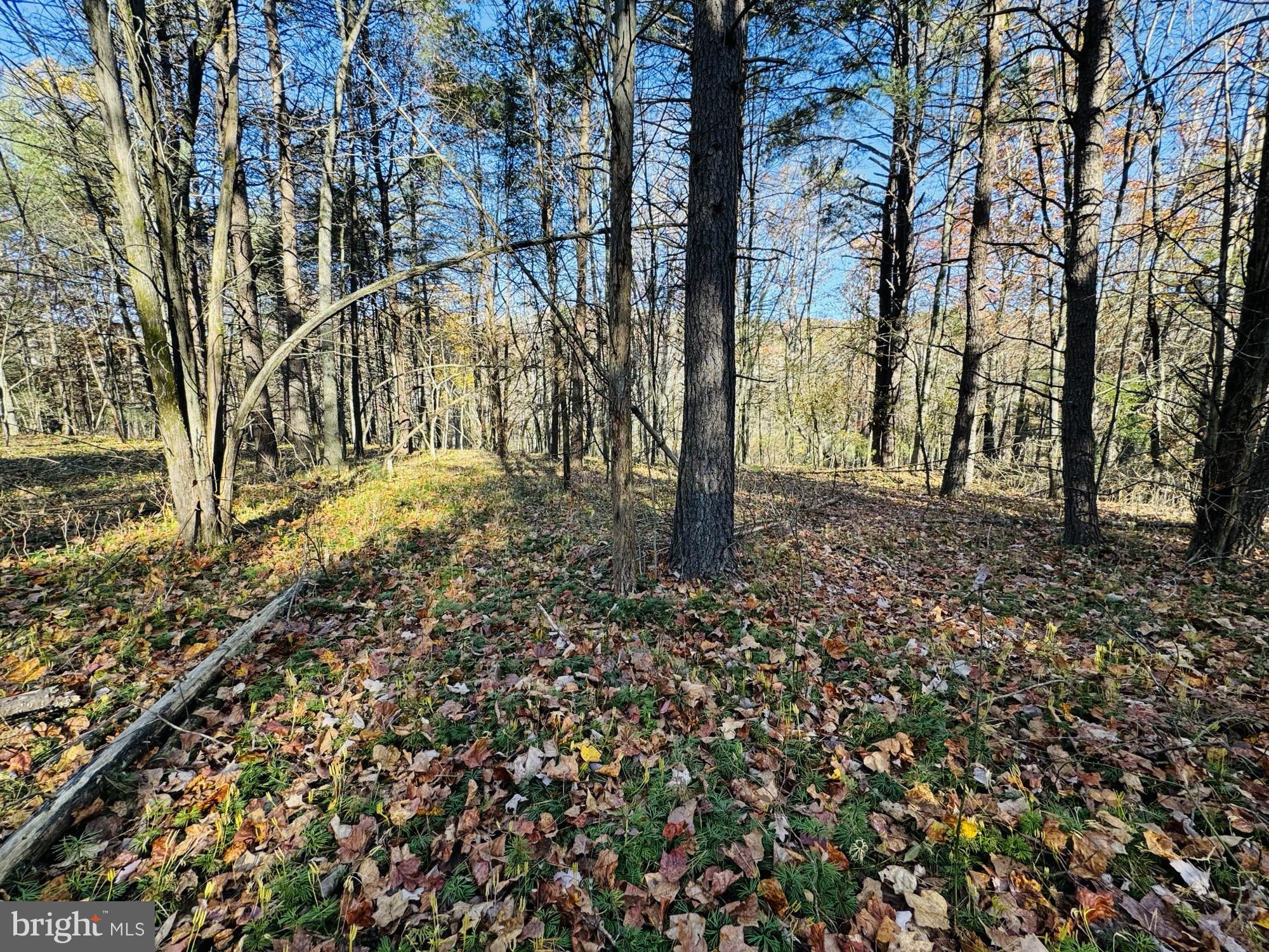 Beaver Rd