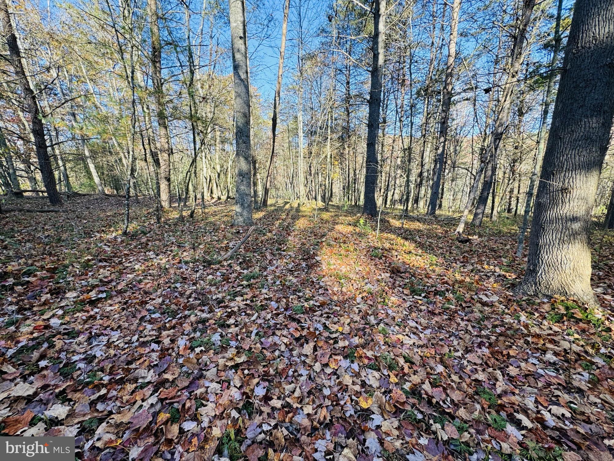 Beaver Rd