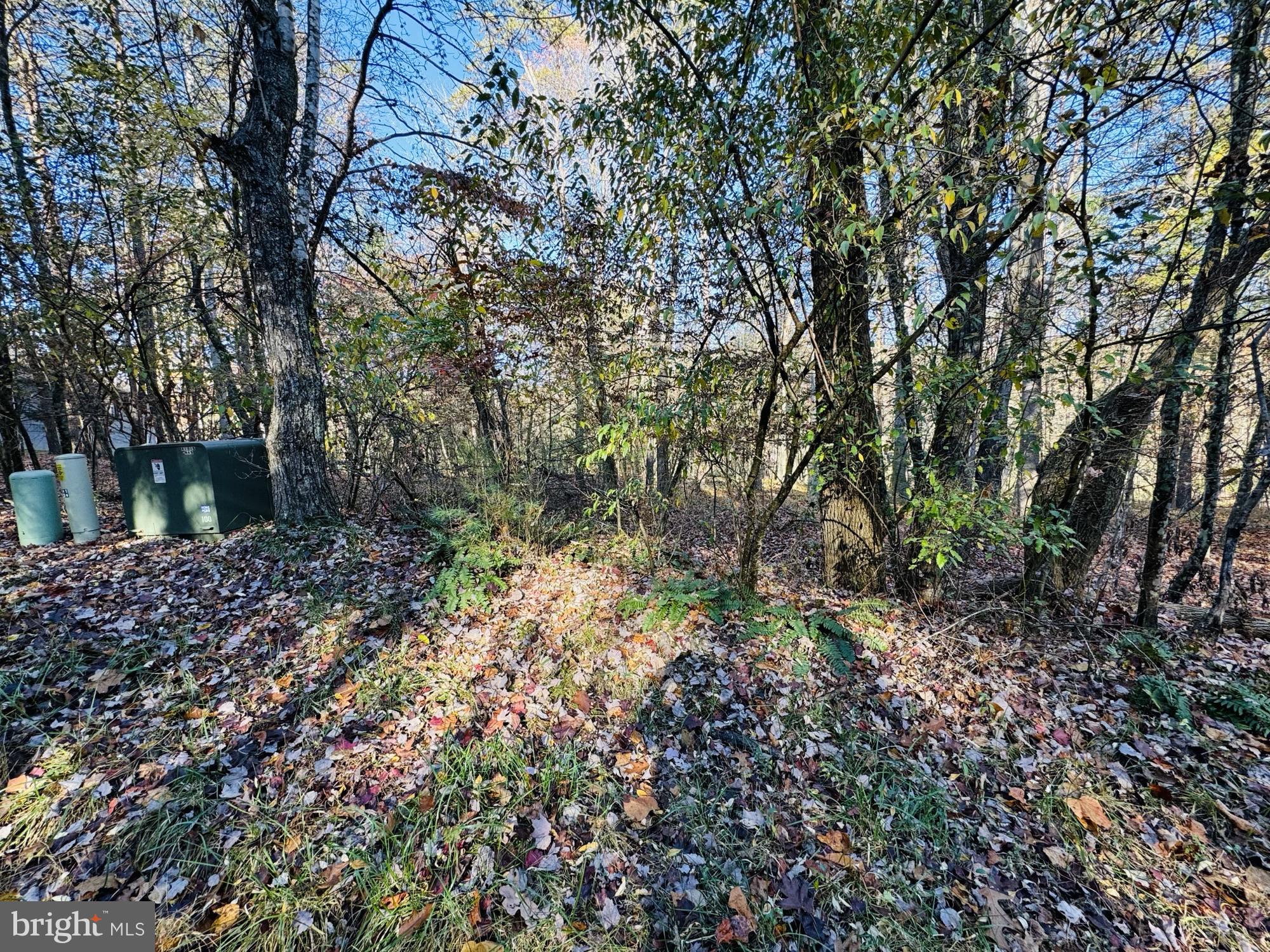 Beaver Rd