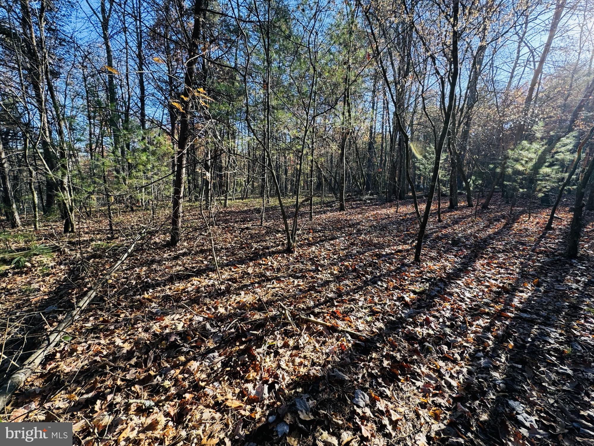 Beaver Rd