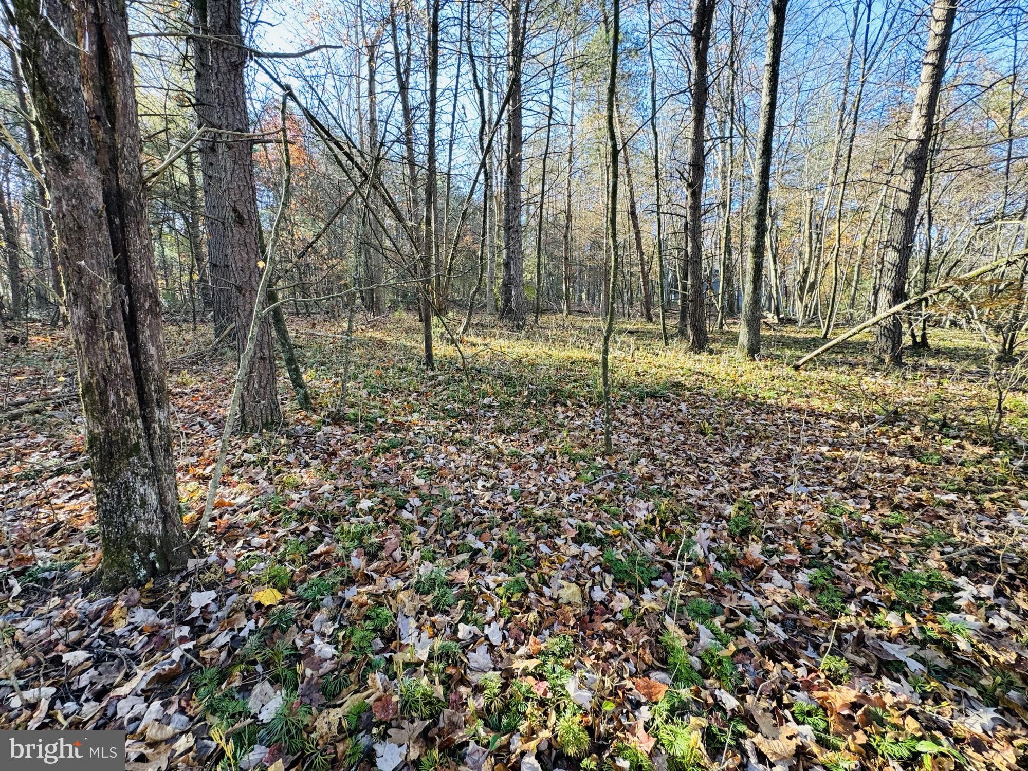 Beaver Rd