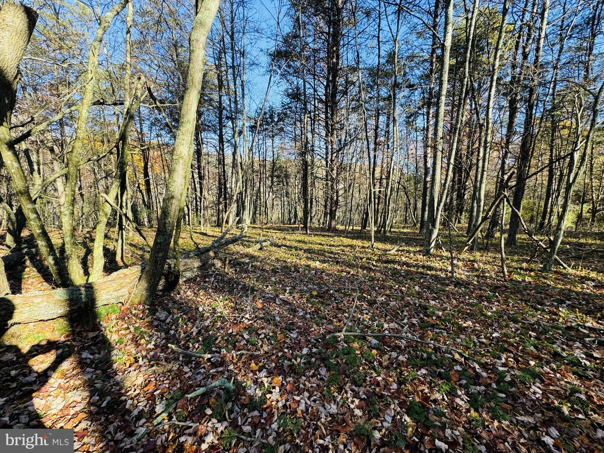 Beaver Rd