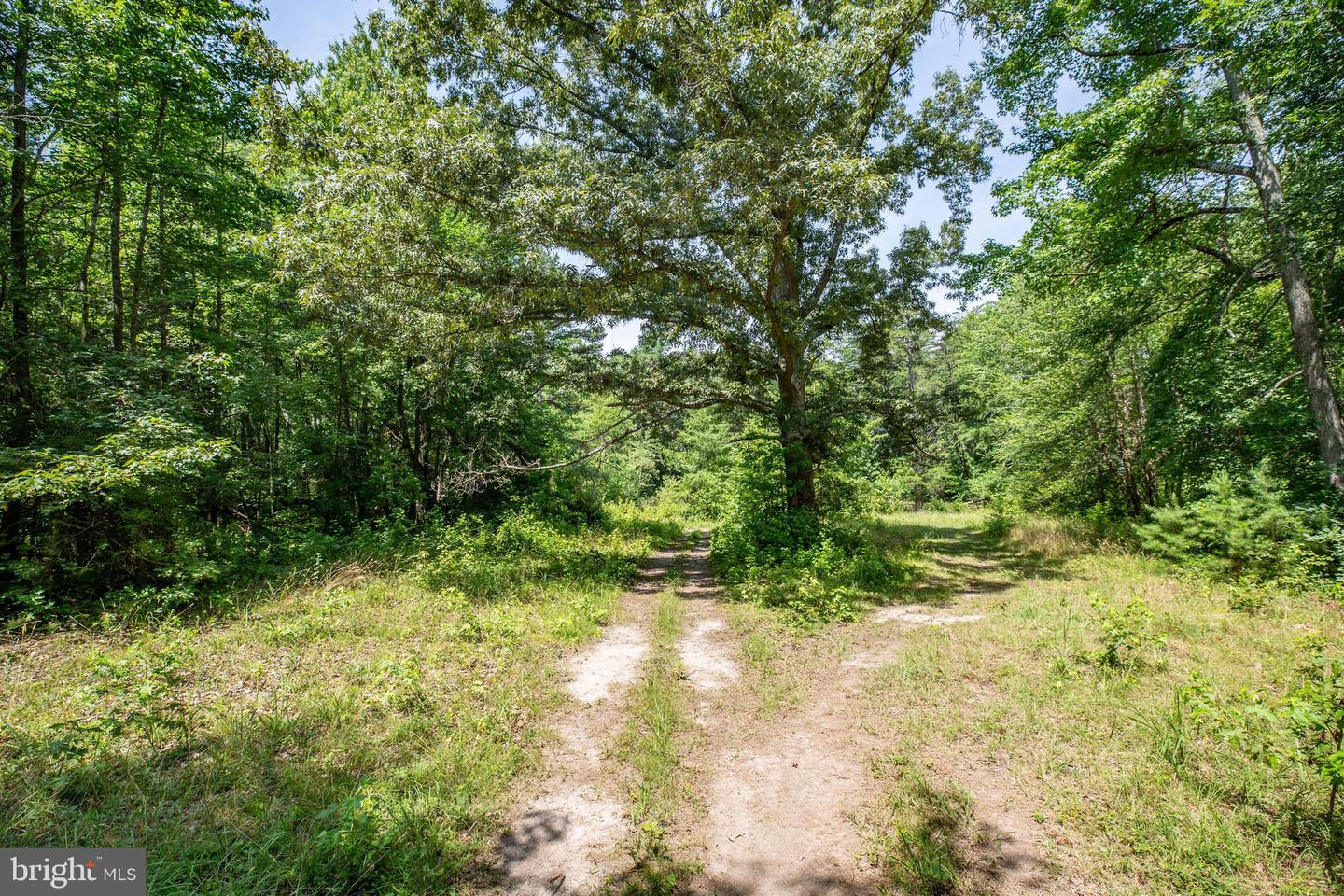 10414 Piney Branch ROAD