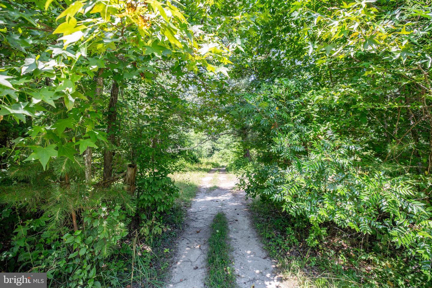 10414 Piney Branch ROAD