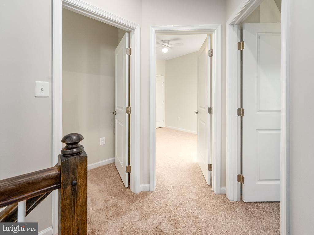 6613 Shelton LANE