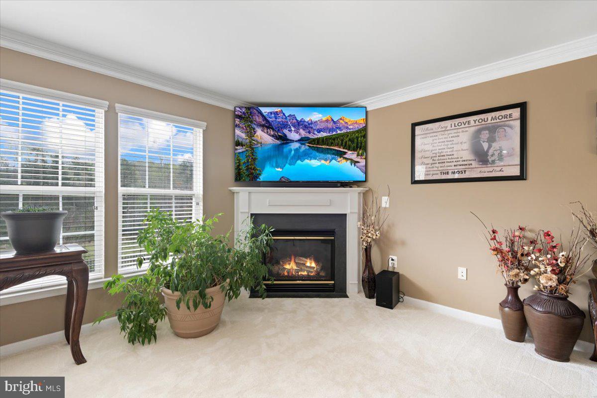 9503 Laurel Oak DRIVE