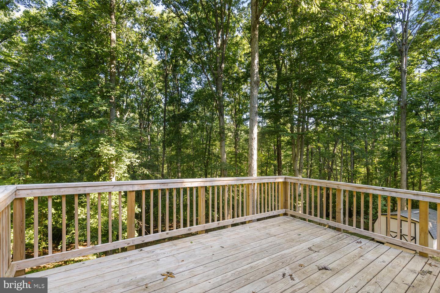 11806 Clifton LANE