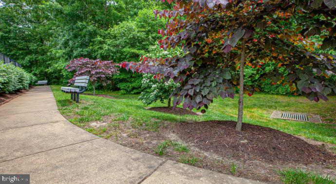 9813 Cannonball COURT