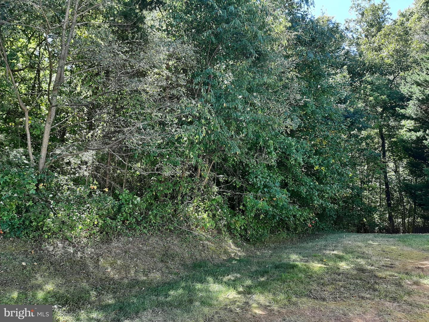 11101 Donita COURT