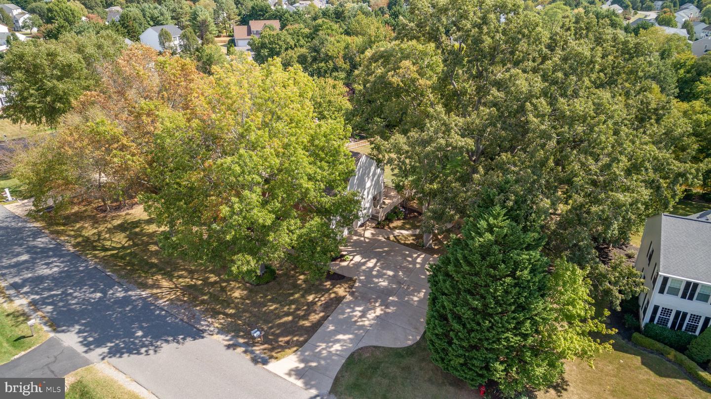 9800 Charlesfield DRIVE