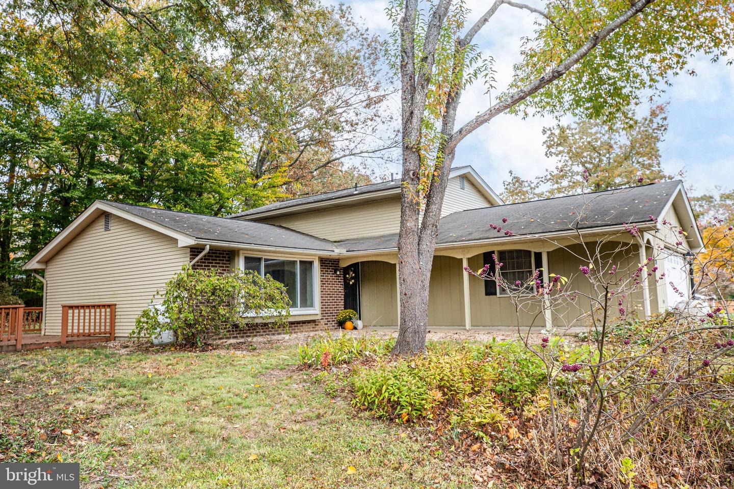 207 Creek LANE