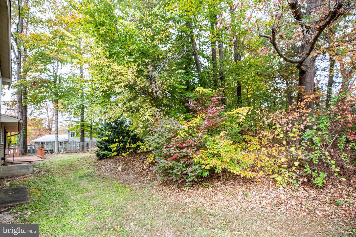 207 Creek LANE