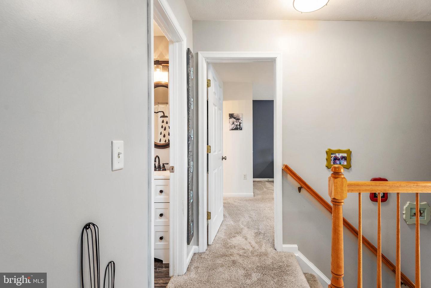 12001 Setter DRIVE