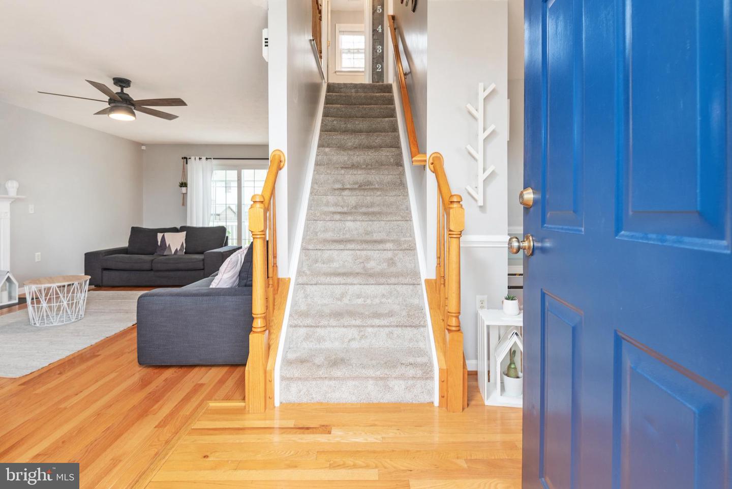 12001 Setter DRIVE