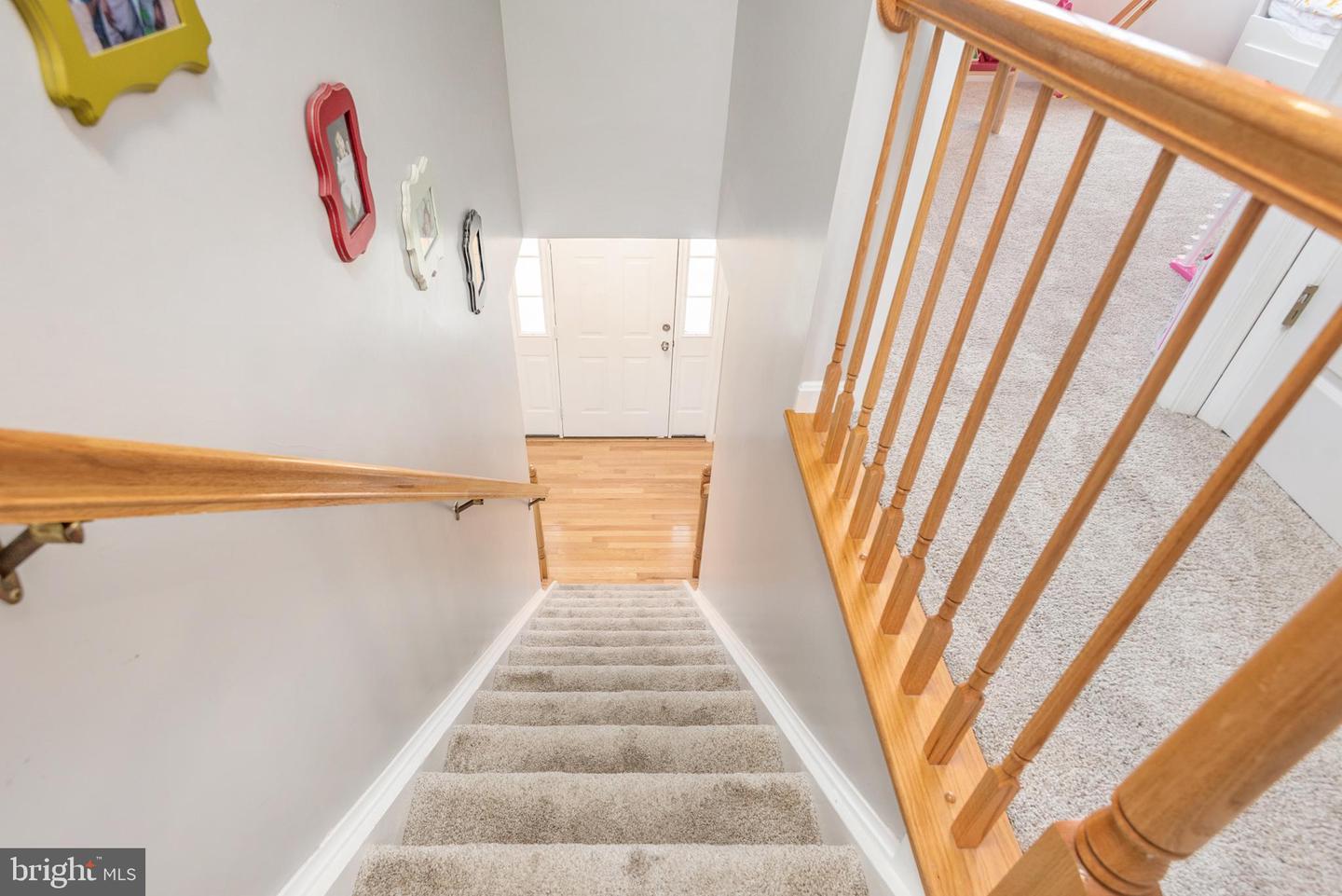 12001 Setter DRIVE