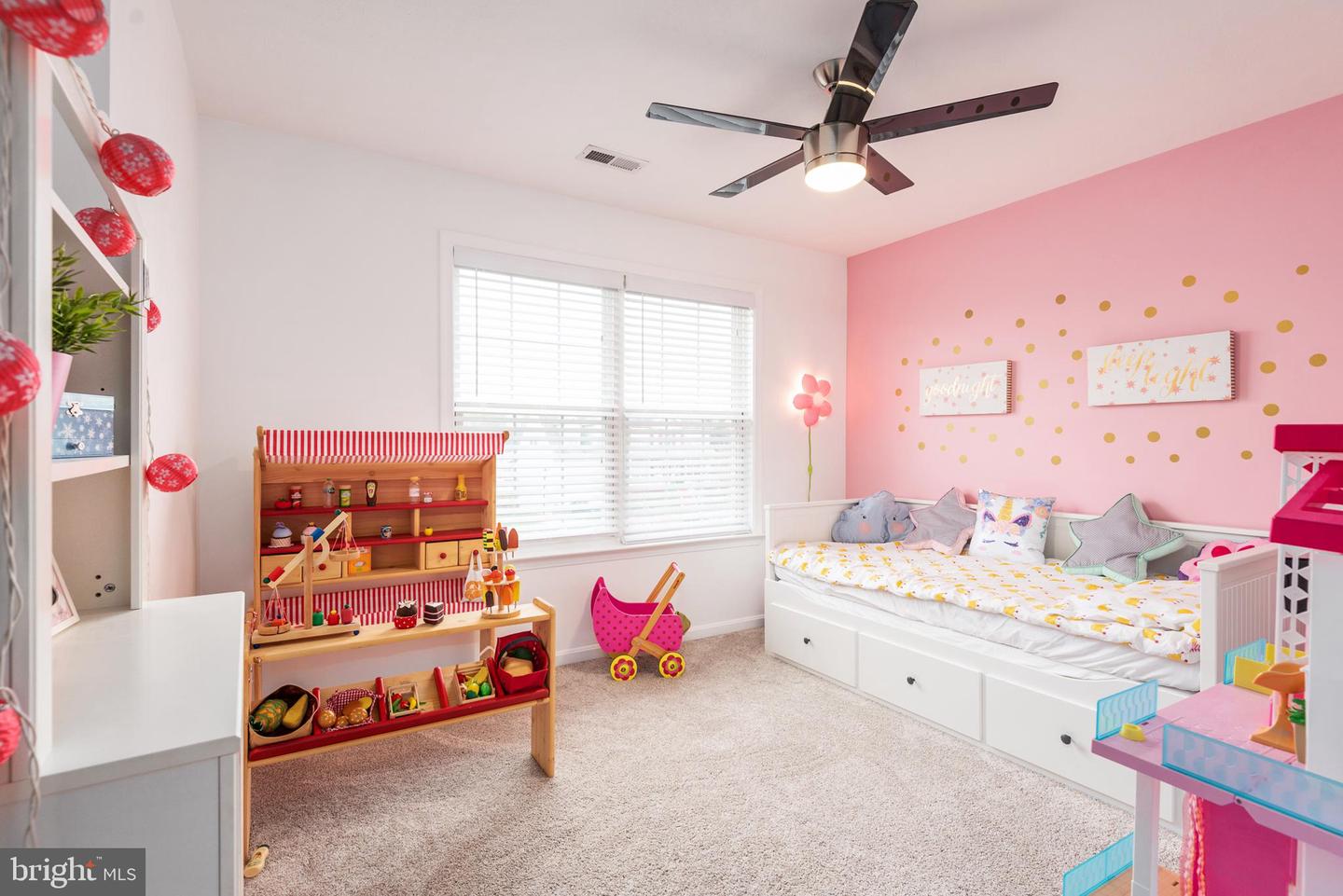 12001 Setter DRIVE
