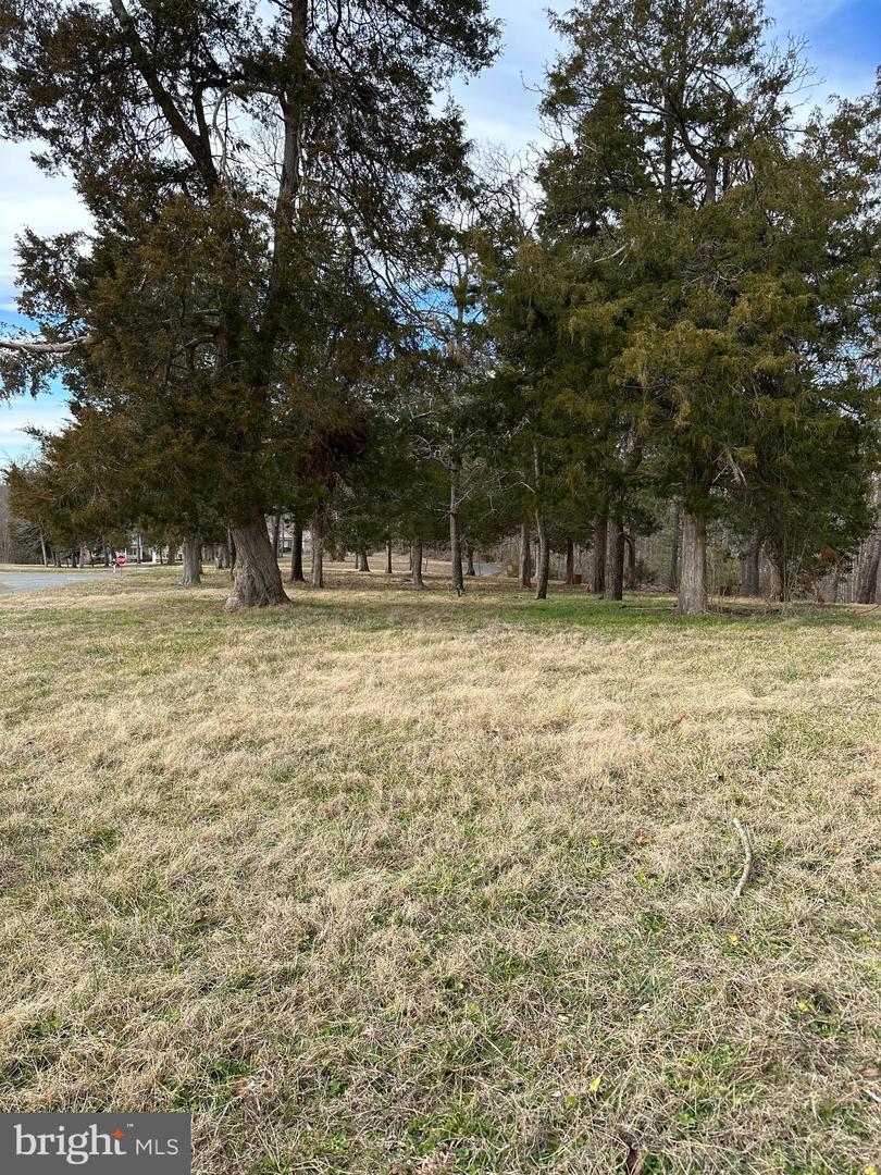 15505 Cedar Hill DRIVE