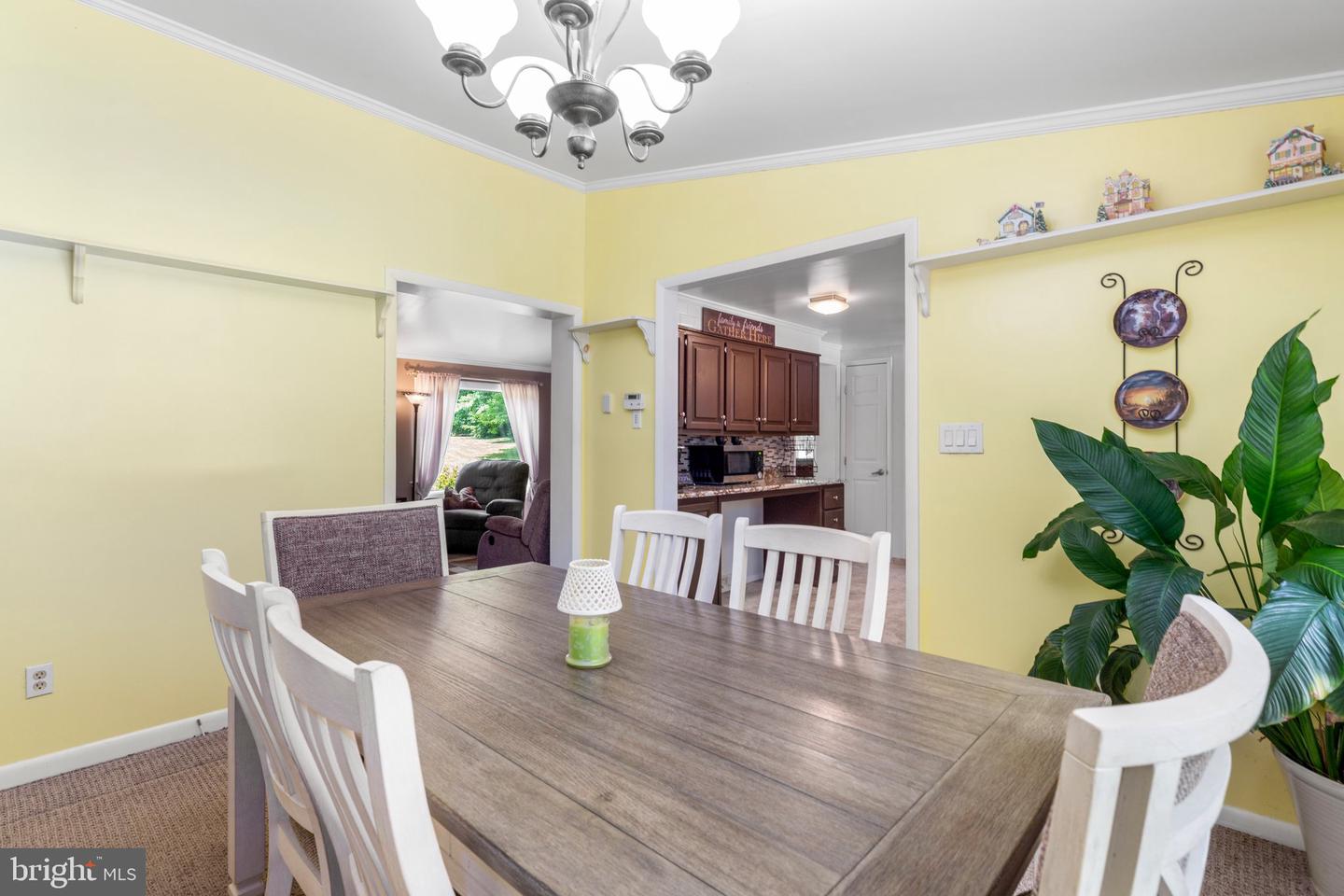 231 Horseshoe SPUR