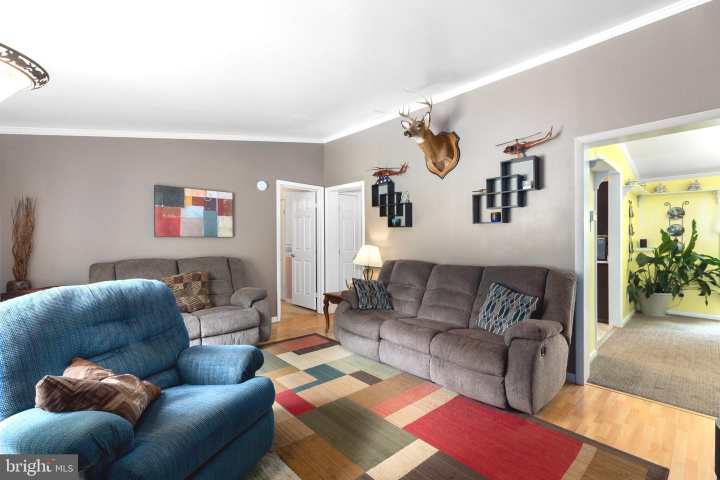 231 Horseshoe SPUR