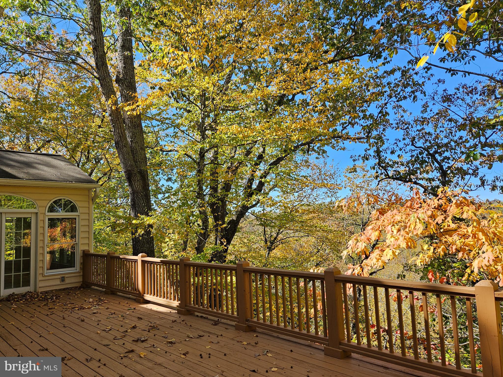 7317 River ROAD
