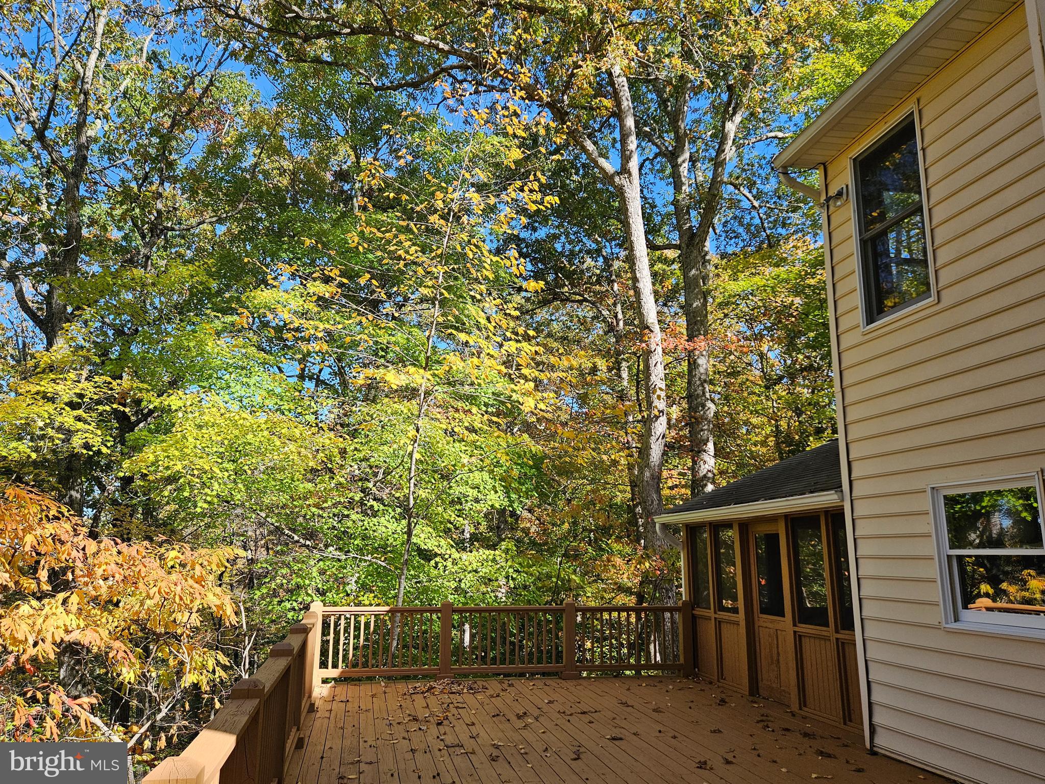 7317 River ROAD