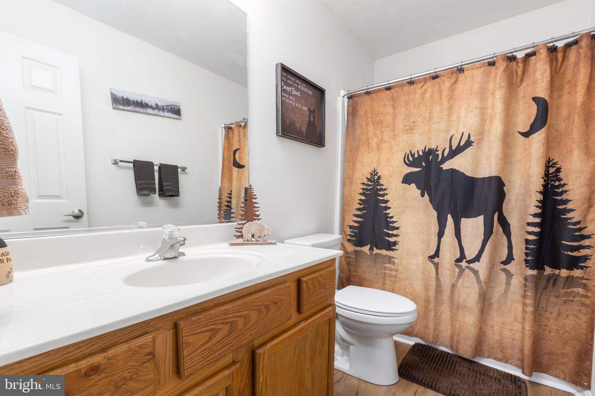 11106 Huntington Meadows LANE