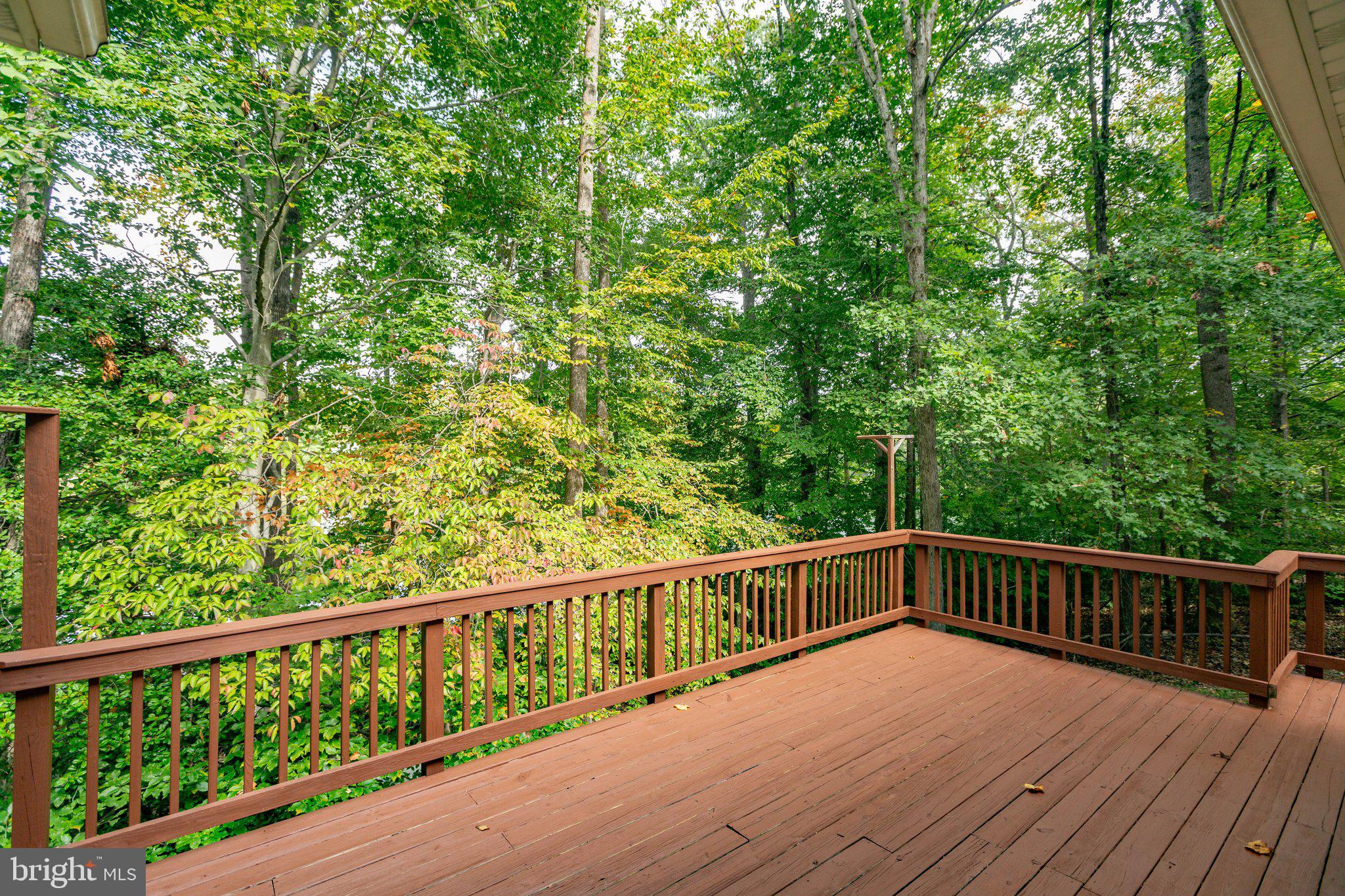 7901 Commodore COURT