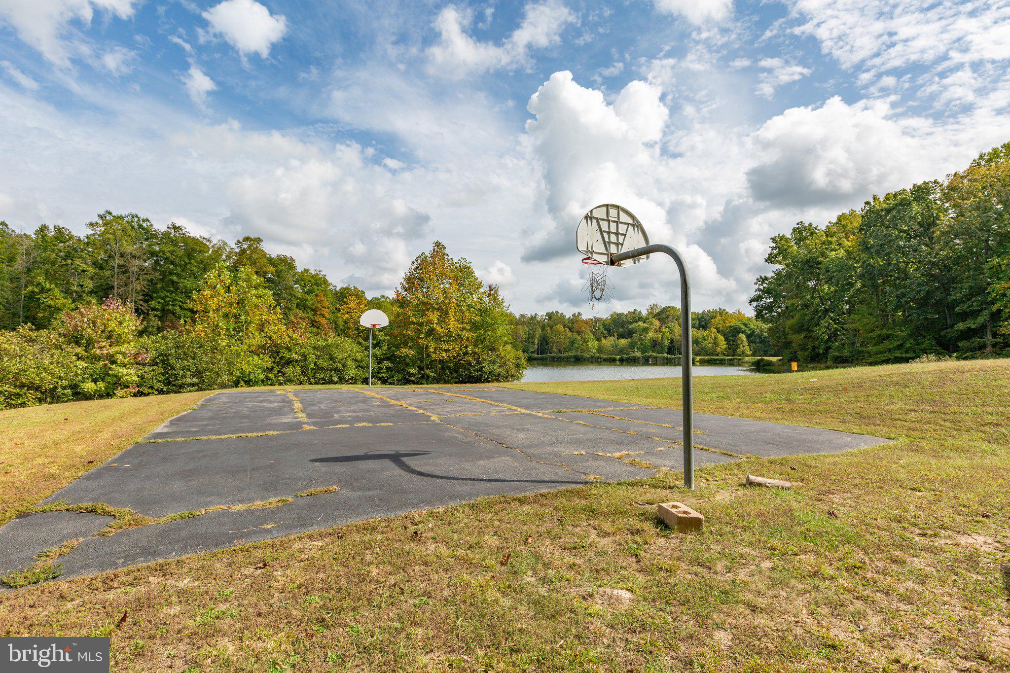 7901 Commodore COURT