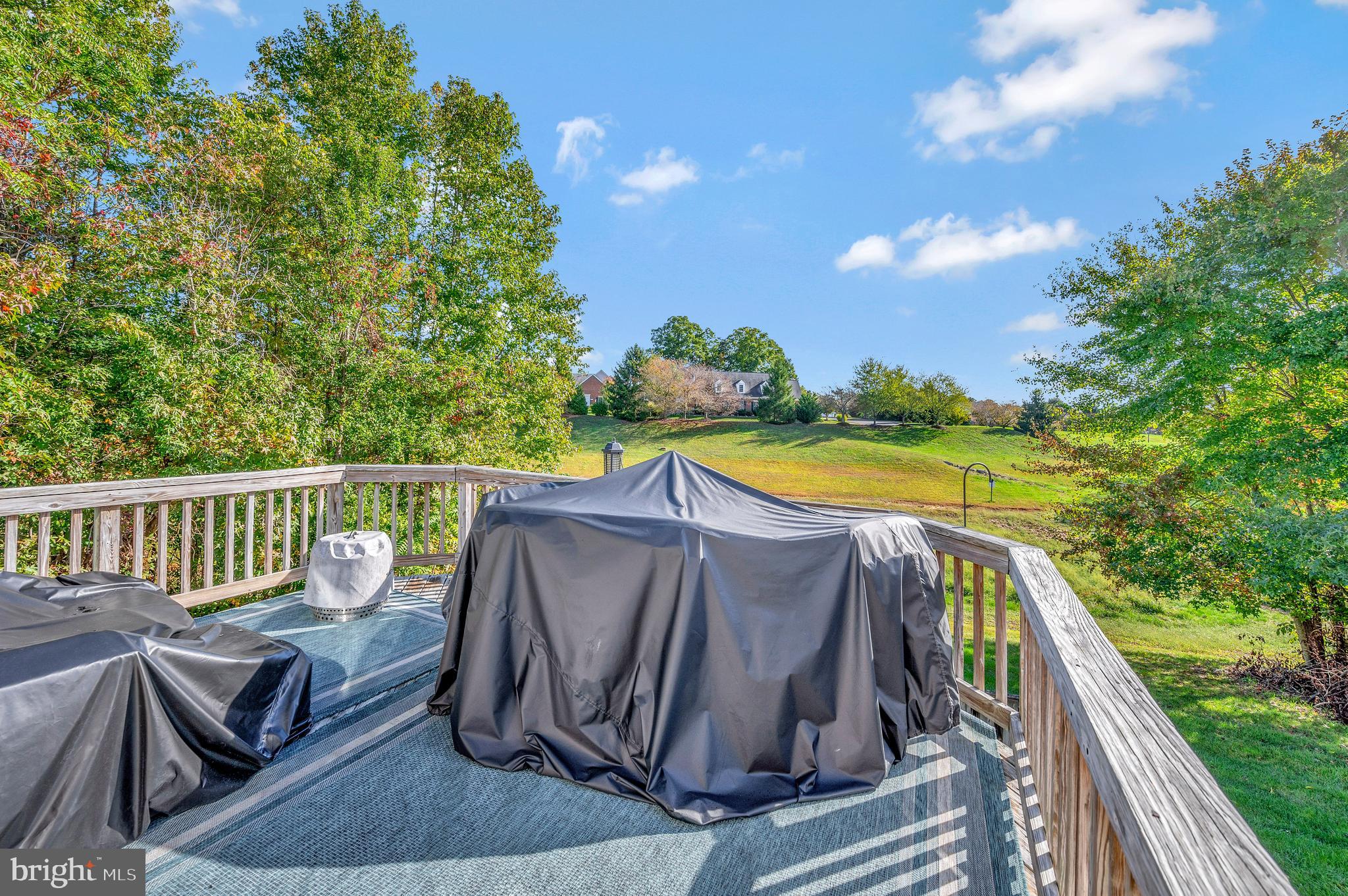 11139 Gander COURT