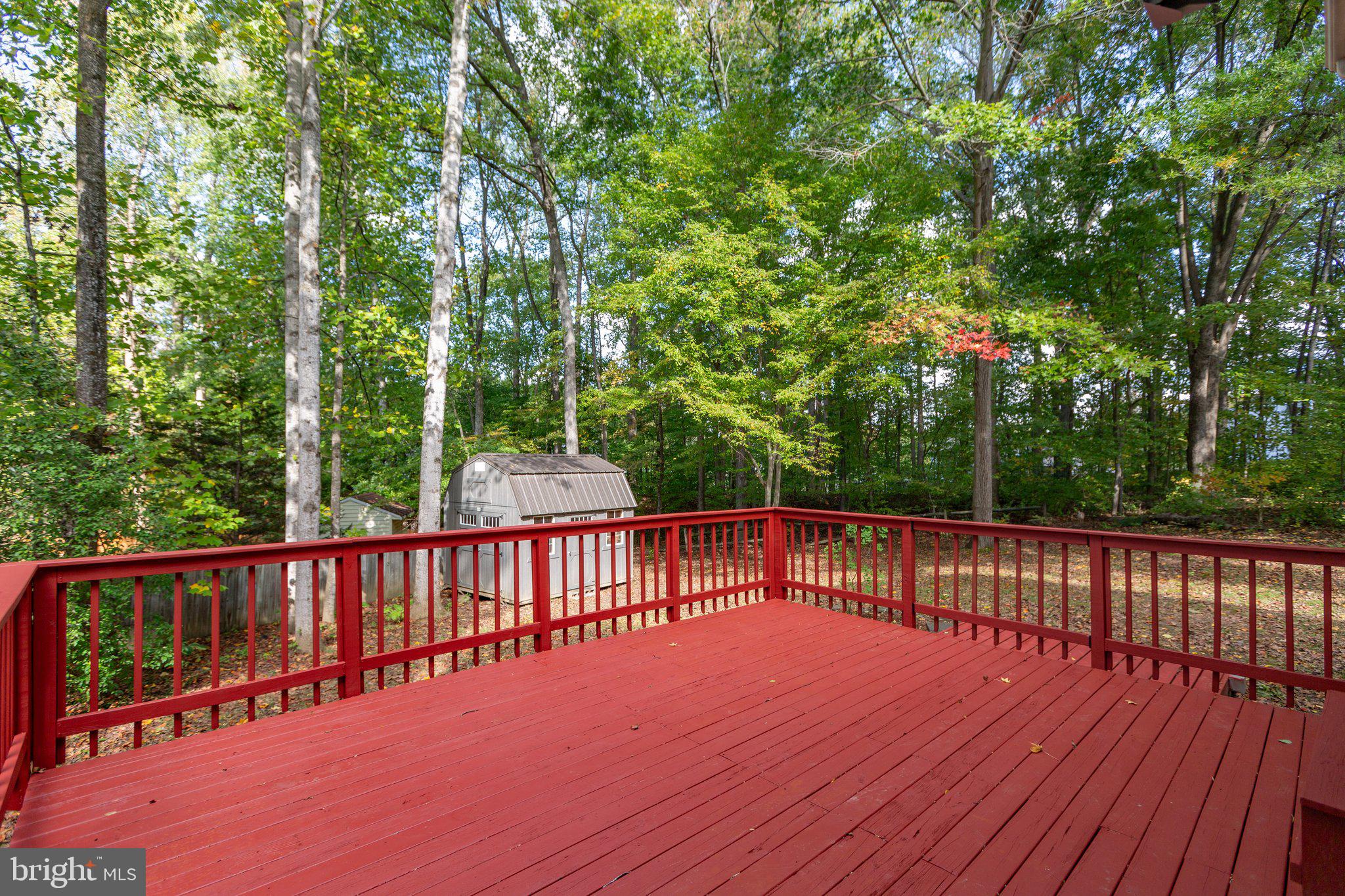 11704 Carnation COURT