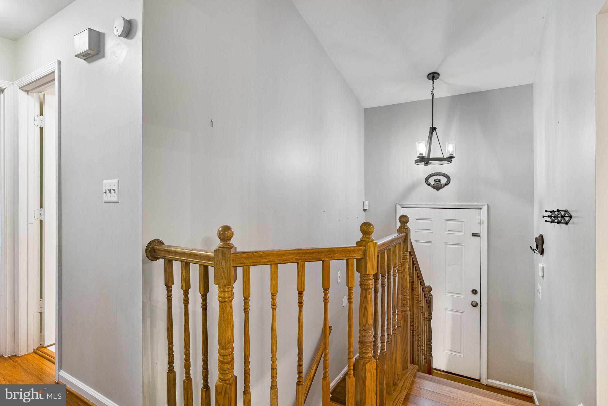 10000 Knotty Pine COURT