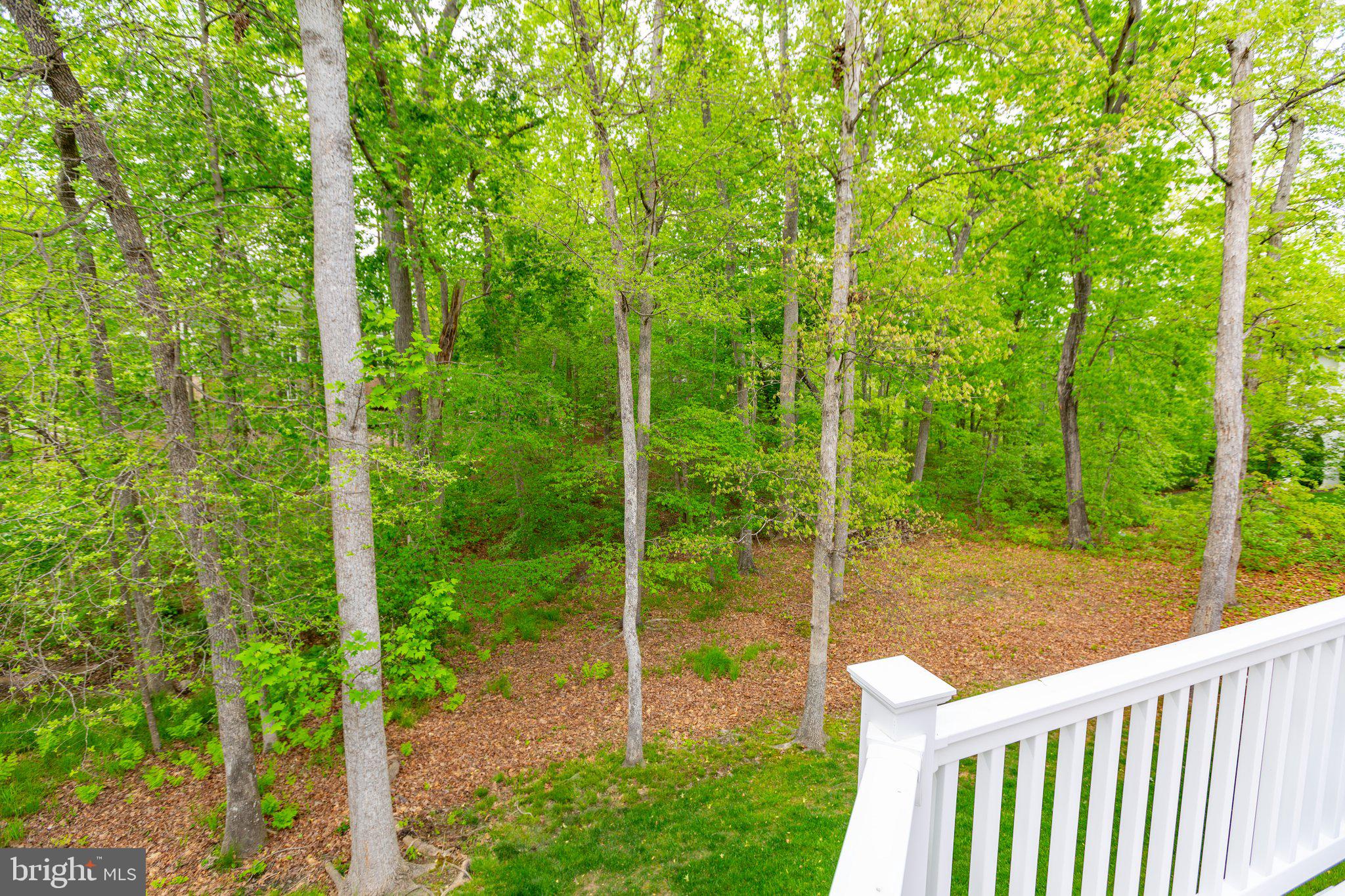 11403 Bluffs Rdg