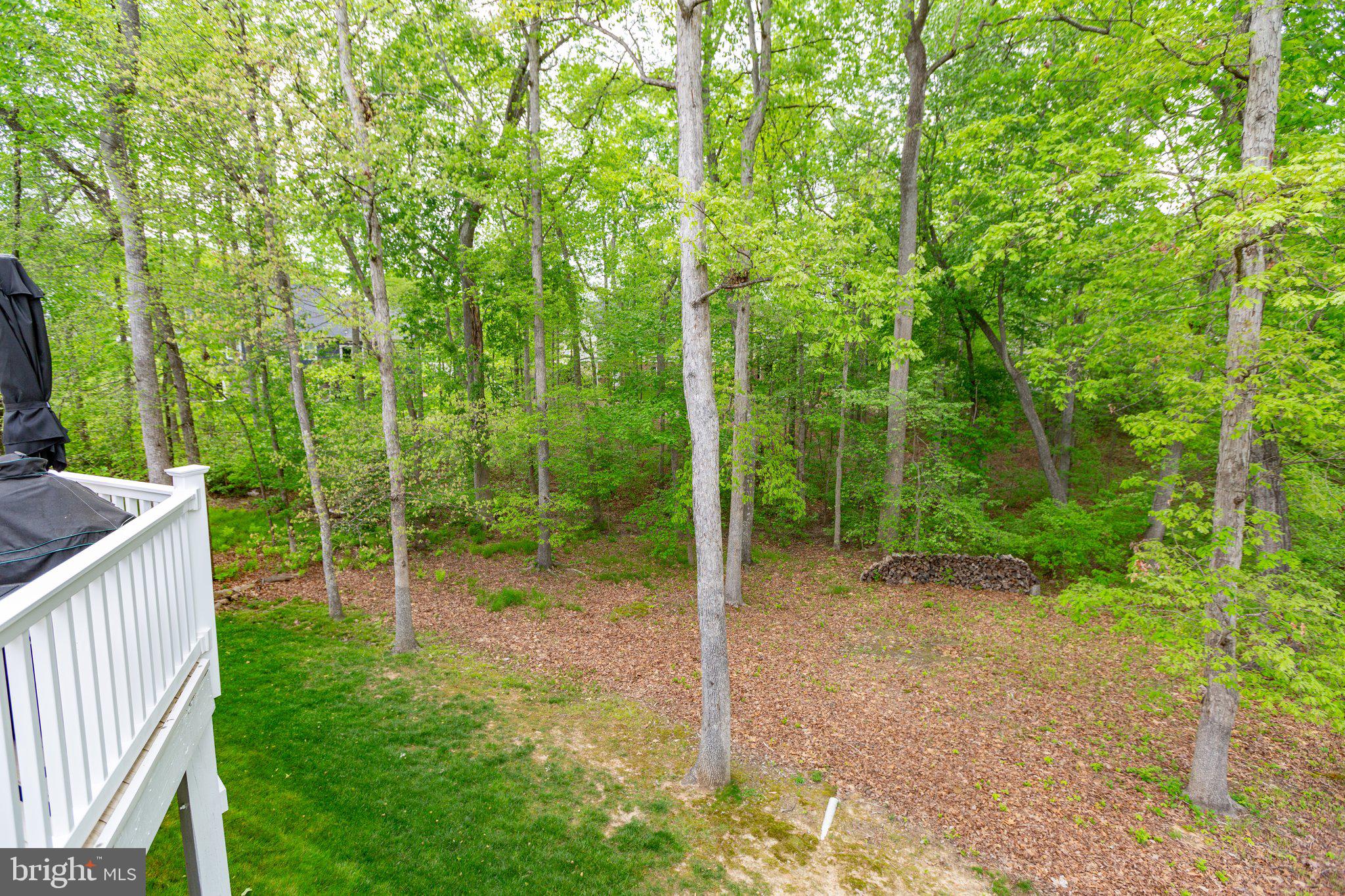 11403 Bluffs Rdg